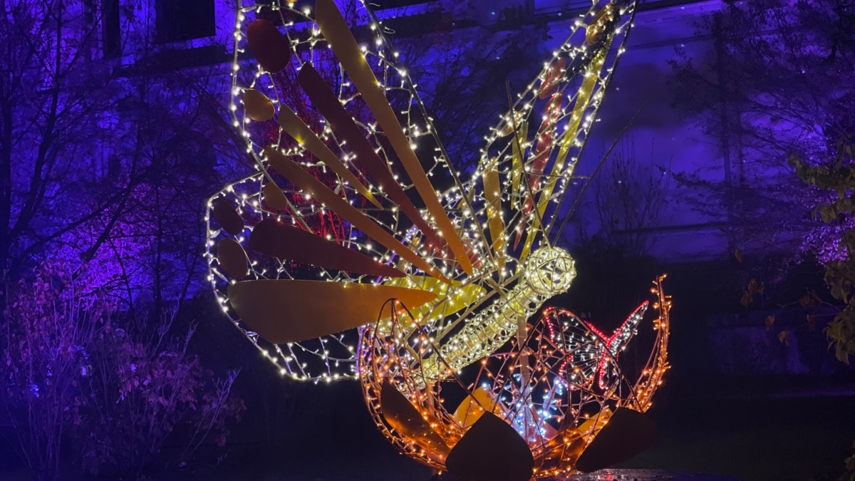 Sarajevo's 'Festival Of Lights' Illuminates Cultural Sites - Vimarsana News