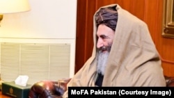 آرشیف، ملا شیرین، والی طالبان در کندهار