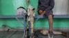 یو شمېر معلولین: د طالبانو حکومت مو له ۵ میاشتو راهیسې معاشونه ځنډولي
