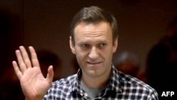 Politicianul Alexei Navalnîi în timpul unei audieri din închisoare.