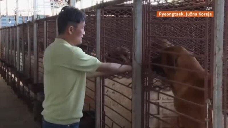 Južnokorejski farmeri pasa se protive zabrani psećeg mesa