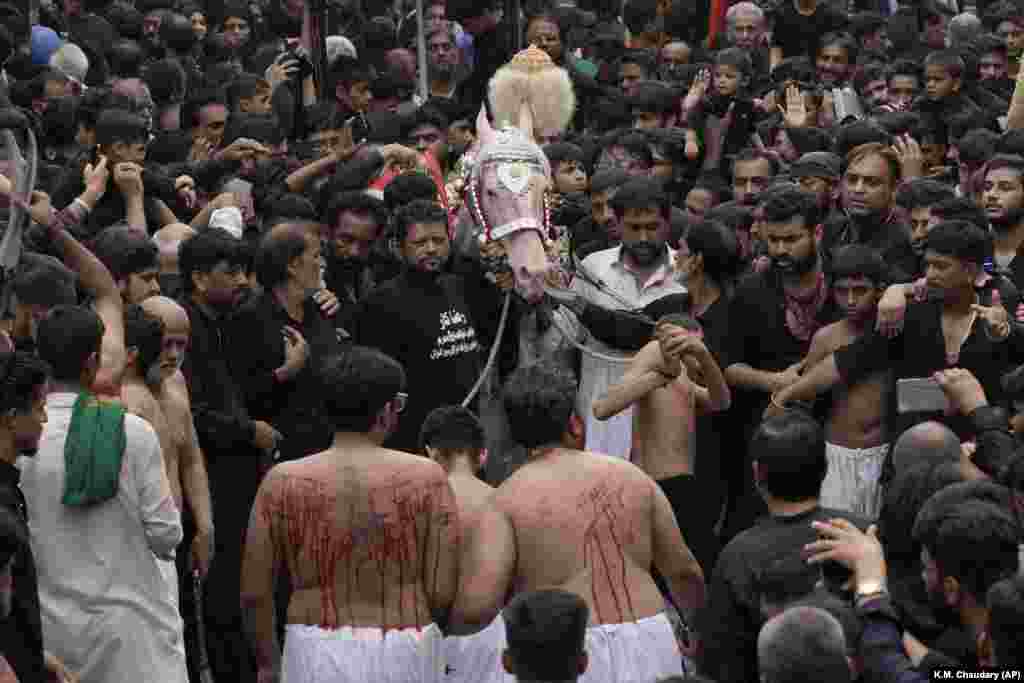 Shi&#39;ite Muslims flagellate themselves with knifes attached to chains in front of a horse that symbolizes the horse that carried Imam Hussein during the battle of Karbala, during a Muharram procession in Lahore, Pakistan. Muharram, the first month of the Islamic calendar, is a month of mourning for Shi&#39;a in remembrance of the death of Hussein, the grandson of the Prophet Muhammad, at the Battle of Karbala in present-day Iraq in the seventh century.