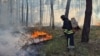 Раніше ДСНС вже повідомляла про ліквідацію лісових пожеж у Харківській області, спричинених російськими обстрілами (ілюстраційне фото, квітень 2024 року)