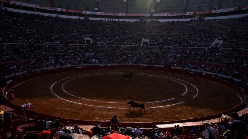 Meksiko vraća borbe s bikovima u najvećoj svjetskoj areni