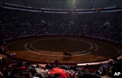 Ljudi posmatraju borbu s bikovima u areni Plaza Mexico prije sudske zabrane, 20. februara 2022.