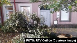 Oborena stabla i u Cetinju