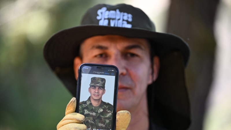 Sadnja drveća, kazna bez presedana za ratne zločince u Kolumbiji