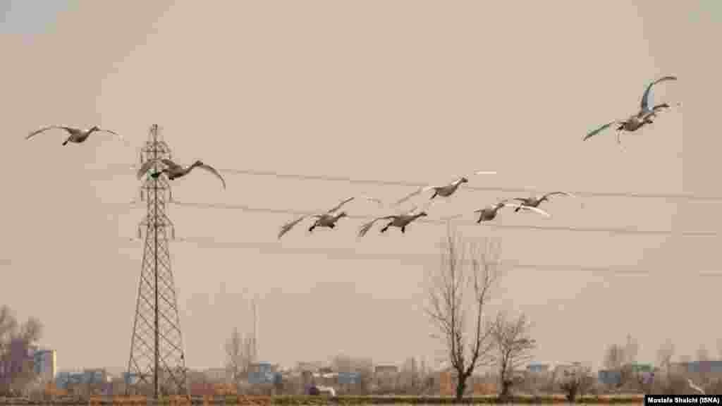 دی&zwnj;ماه ۱۳۹۵
