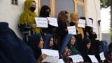 تعدادی از زنان معترض افغانستان 
