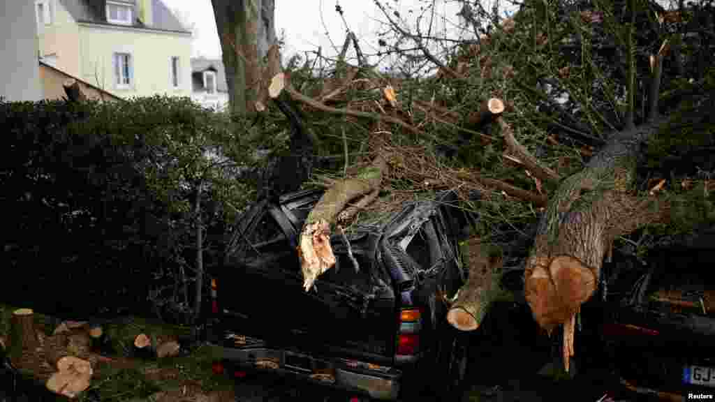 Leszakadt faágak egy megrongálódott autón a Ciarán szélvihar idején a franciaországi Clohars-Carnoëtben 2023. november 2-án.&nbsp;Egy munkás meghalt a bretagne-i régióban, miközben a vihar által az elektromos hálózatban okozott károkat javította