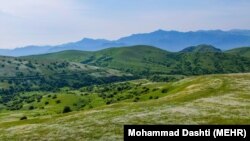 Илустрација