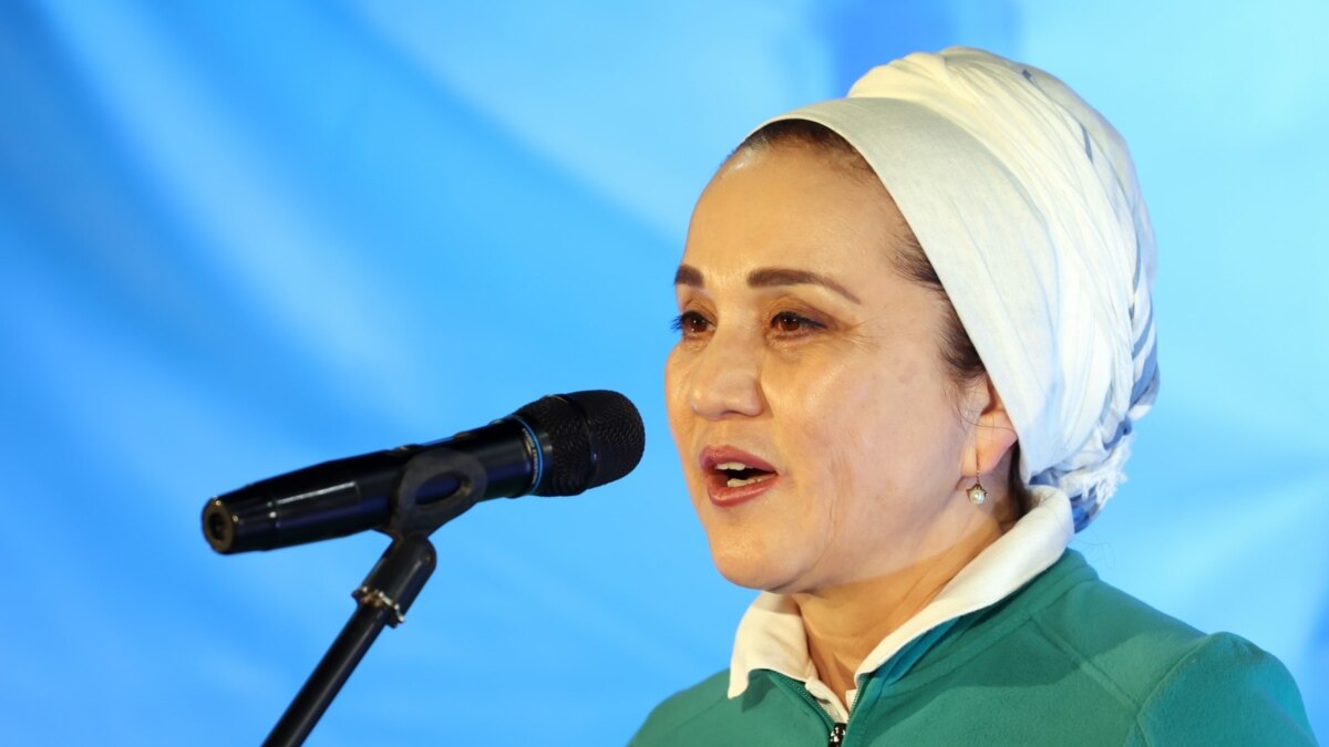 Шайлоо: Дамира Ниязалиева өз дарегине айтылган сынга жооп берди