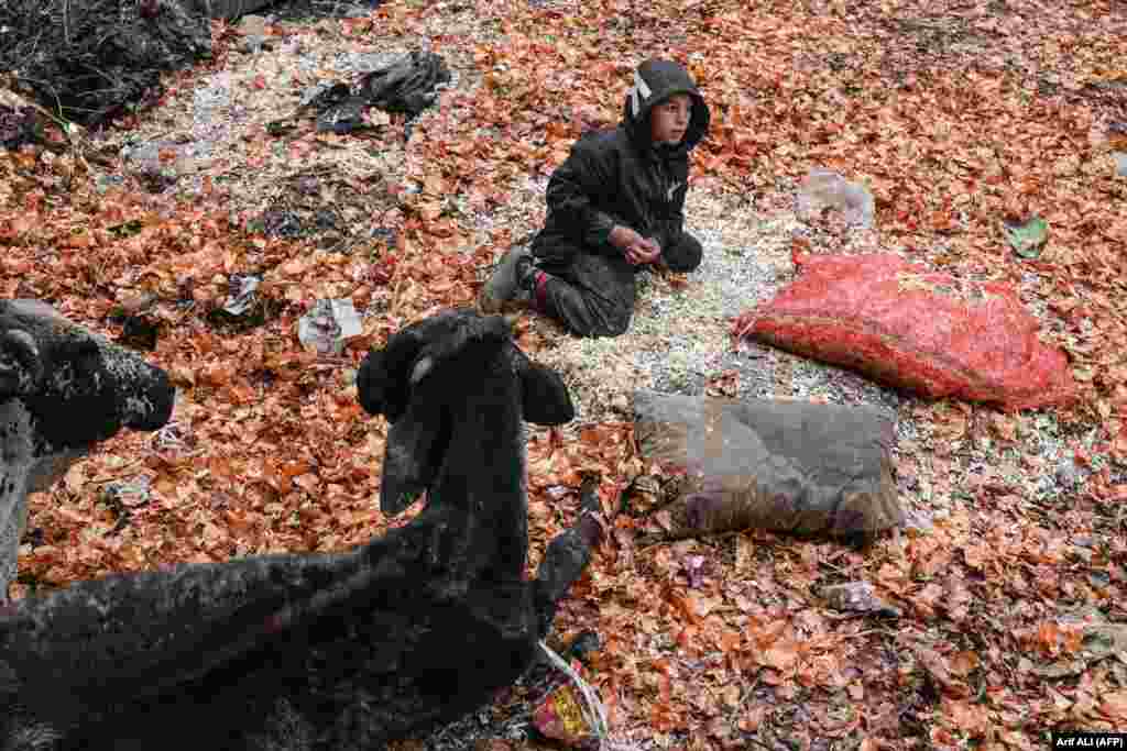  A boy sits on onion skins at a vegetable market in Lahore, Pakistan. &nbsp; 