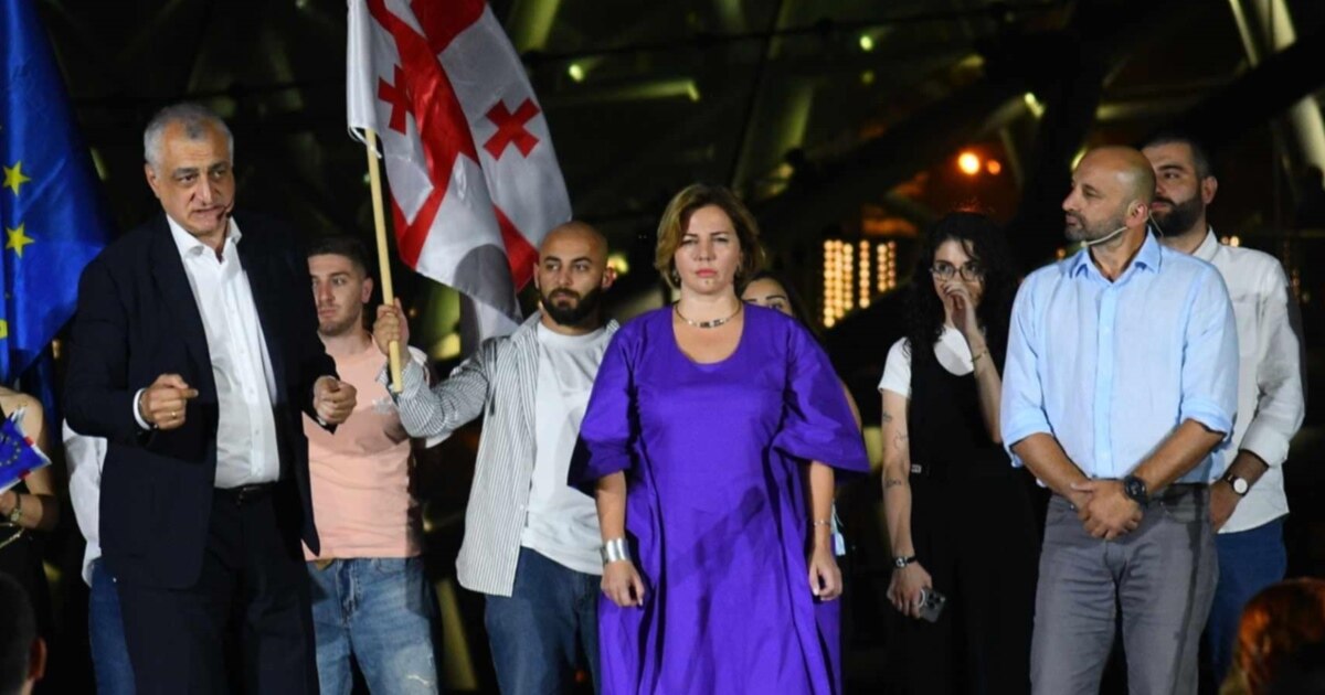 ანა დოლიძის პარტია ტოვებს „ძლიერი საქართველოს“ კოალიციას