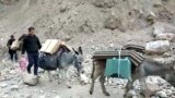 Donkeys bring solar energy in kyrgystan vilage
