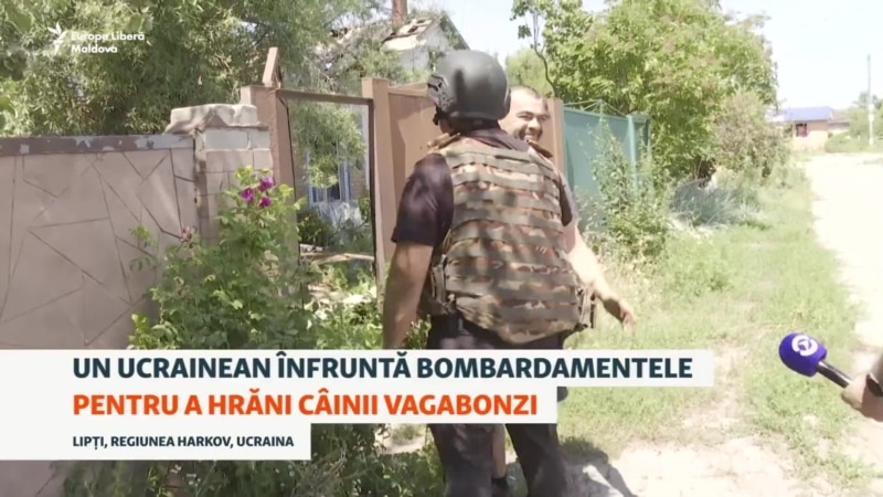 Un ucrainean înfruntă bombele pentru a hrăni câinii vagabonzi