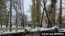 Стихия устроила древопад в Симферополе (фотогалерея)