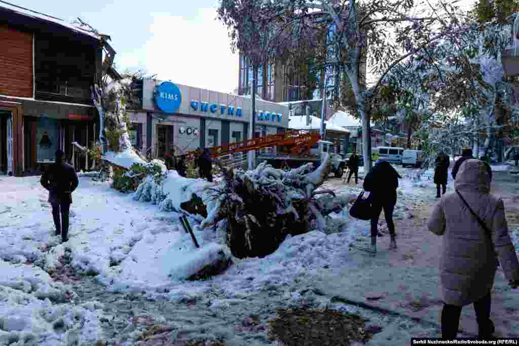 В Одеській міській раді повідомили, що станом на ранок 27 листопада у місті через негоду були повалені 117 дерев та великих гілок. Відомо про 43 пориви мереж зовнішнього освітлення та 78 пошкоджень контактної мережі