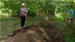 Cum un sat din R. Moldova a învățat de la francezi să composteze