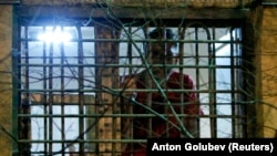 Алексей Навални гледа през прозореца на килията си в център за задържане през 2011 г.