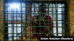 Russian anti-corruption blogger Aleksei Navalny looks out of the window of his cell in a detention center in Moscow in December 2011. 