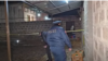 Լուսանկարը՝ Արամուս գյուղի հացատան միջադեպի մասին ոստիկանության հրապարակած տեսանյութից