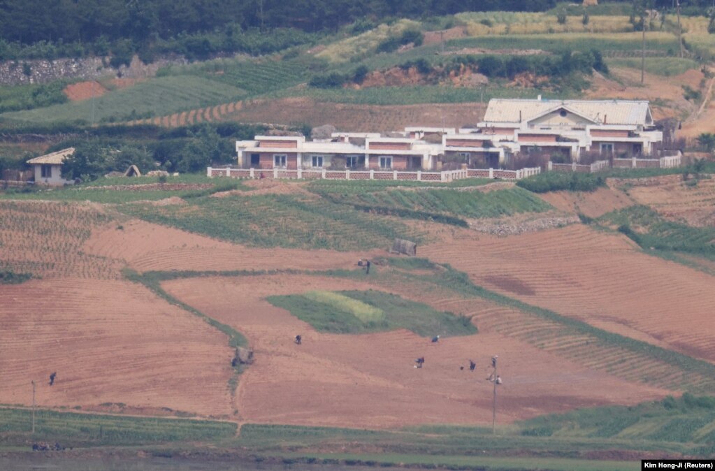 Njerëzit e Koresë së Veriut duke punuar në një fushë të mbjellë me oriz në fshatin propagandistik të Koresë së Veriut, Kaepoong. Fotografia është marrë nga Platforma e Vëzhgimit të Përbashkët, pranë zonës së çmilitarizuar që ndan dy Koretë në Paju, Koreja e Jugut, 31 maj 2023.