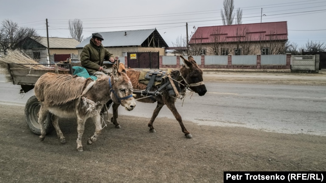 Ескі және жас порно