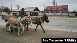Мужчина едет на запряжённой ослами повозке неподалёку от границы Казахстана и Китая. Область Жетысу, 20 марта 2024 года