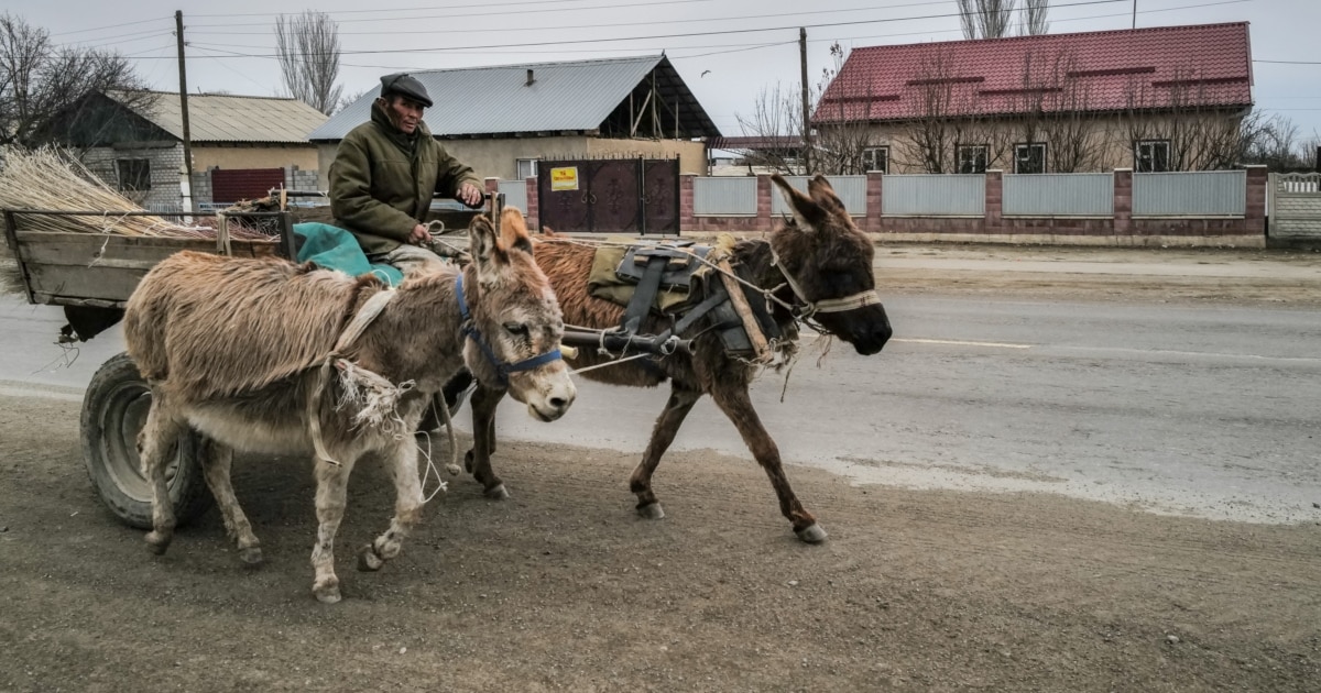 Жыныстық позициялардың түрлері