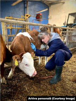 Anastasia Oleinic studentă la Facultatea de Medicină Veterinară de la UTM