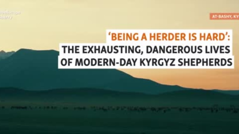 'Being A Herder Is Hard': The Exhausting, Dangerous Lives Of Modern-Day Kyrgyz Shepherds