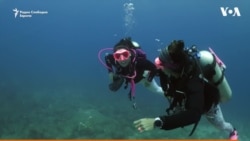  Група нуркачки во подводна борба со стереотипите