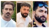 مجید کاظمی، سعید یعقوبی و صالح میرهاشمی اردیبهشت سال گذشته به اتهام «محاربه» در زندان اصفهان اعدام شدند