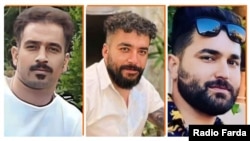 راست به چپ، مجید کاظمی شیخ شبانی، صالح میر هاشمی و سعید یعقوبی کردسفلی