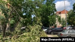 Novi Sad 22. jula 2023.