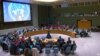 Седница на Советот за безбедност на ОН, Њујорк, февруари 2024 година