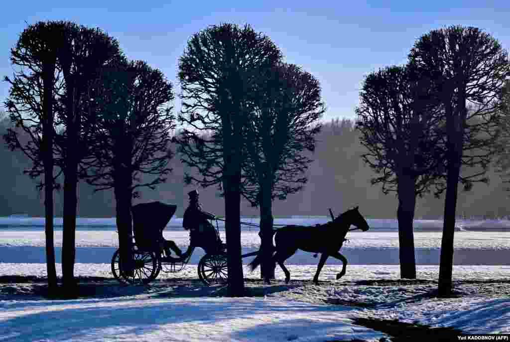 A vintage horse-drawn carriage at the Kuskovo estate near Moscow.&nbsp;