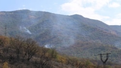 Последствия природного пожара в Геленджике