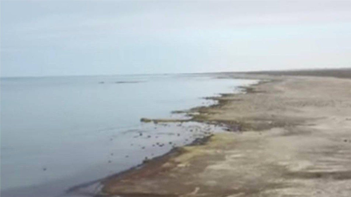 Туркменские эксперты обеспокоены уменьшением уровня воды в Каспийском море