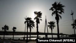 Palm trees blown in the wind overlooking a pedestrian bridge in Anaklia that was built in anticipation of an influx of tourists.