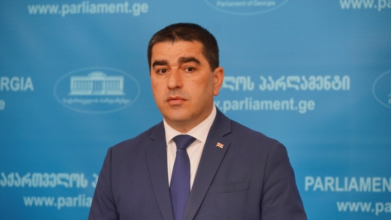 Папуашвили: акции показали нам поддержку народом этого закона