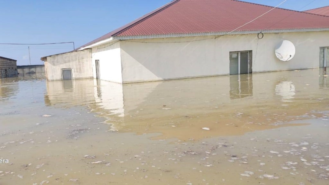 Арық кеудесі жалпақ бірінші курс студенті сорады