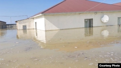 Бийсктегі порно