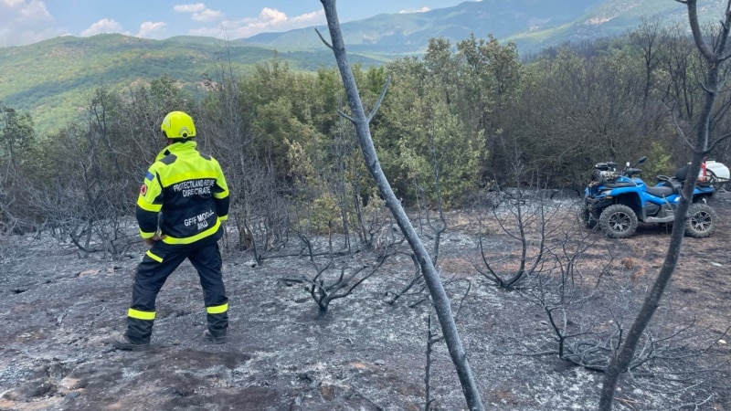 Srbija upućuje pomoć Severnoj Makedoniji u gašenju požara, najavio ministar policije