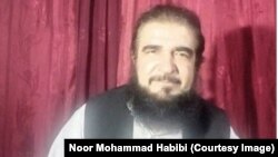 نور محمد ستانکزی حبیبی 