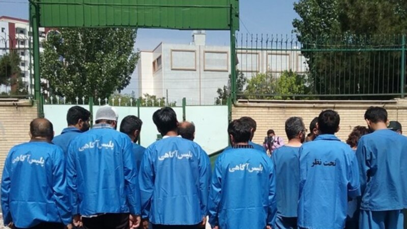 مقام دادگستری: برای اولین بار اکثریت زندانیان در تهران، سارقان هستند