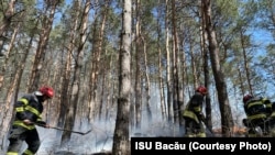 Incendiul s-a extins pe 20 de hectare de pădure de pin din cauza lipsei apei și a vântului puternic. Pe seară, două aeronave Spartan configurate pentru incendii au venit în ajutorul pompierilor. 
