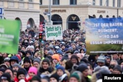 Bujqit duke protestuar në Munih. Janar, 2024.