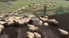 Tufa e deleve te fermës Sotira gjatë shtegtimit në zonën e Shelegurit, Erseke.
